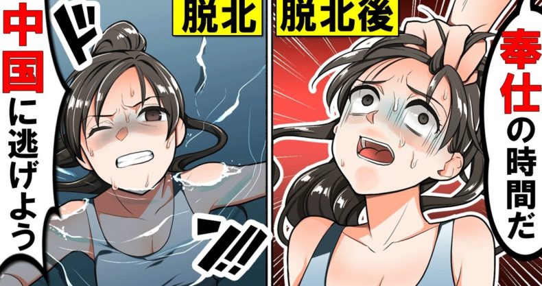 実話 北朝鮮を脱北した女性の悲劇 脱出後の生活が生き地獄すぎてヤバい 漫画動画 Com