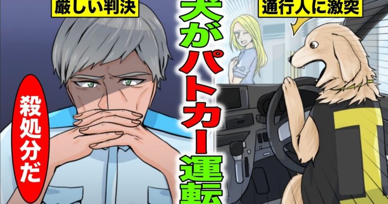 犬がパトカーを運転して殺処分を言い渡された 漫画動画 Com